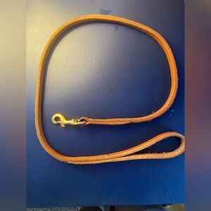 Brown Leather Dog Leash with Gold Clasp